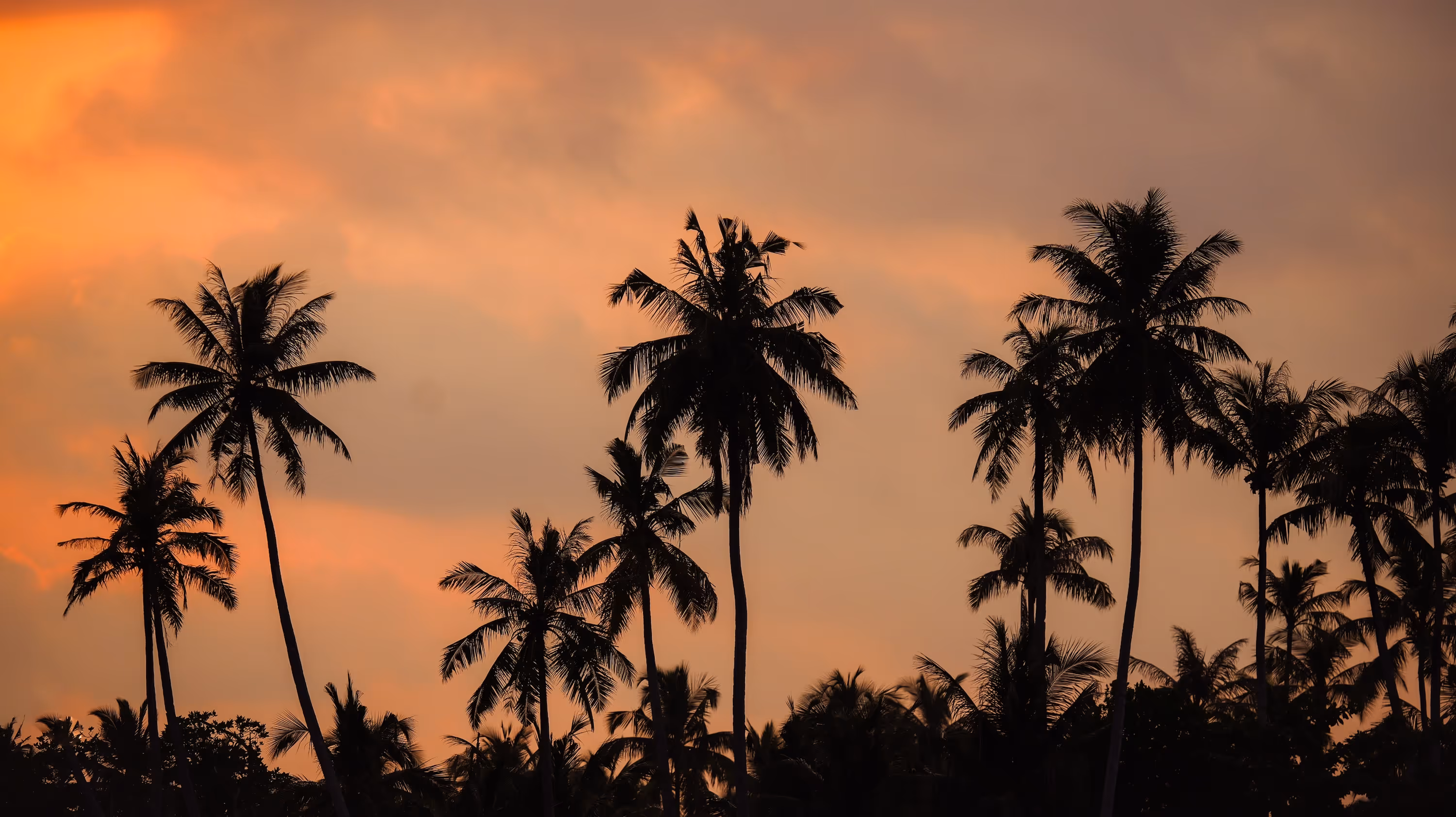 Sunset Villa mentawai
