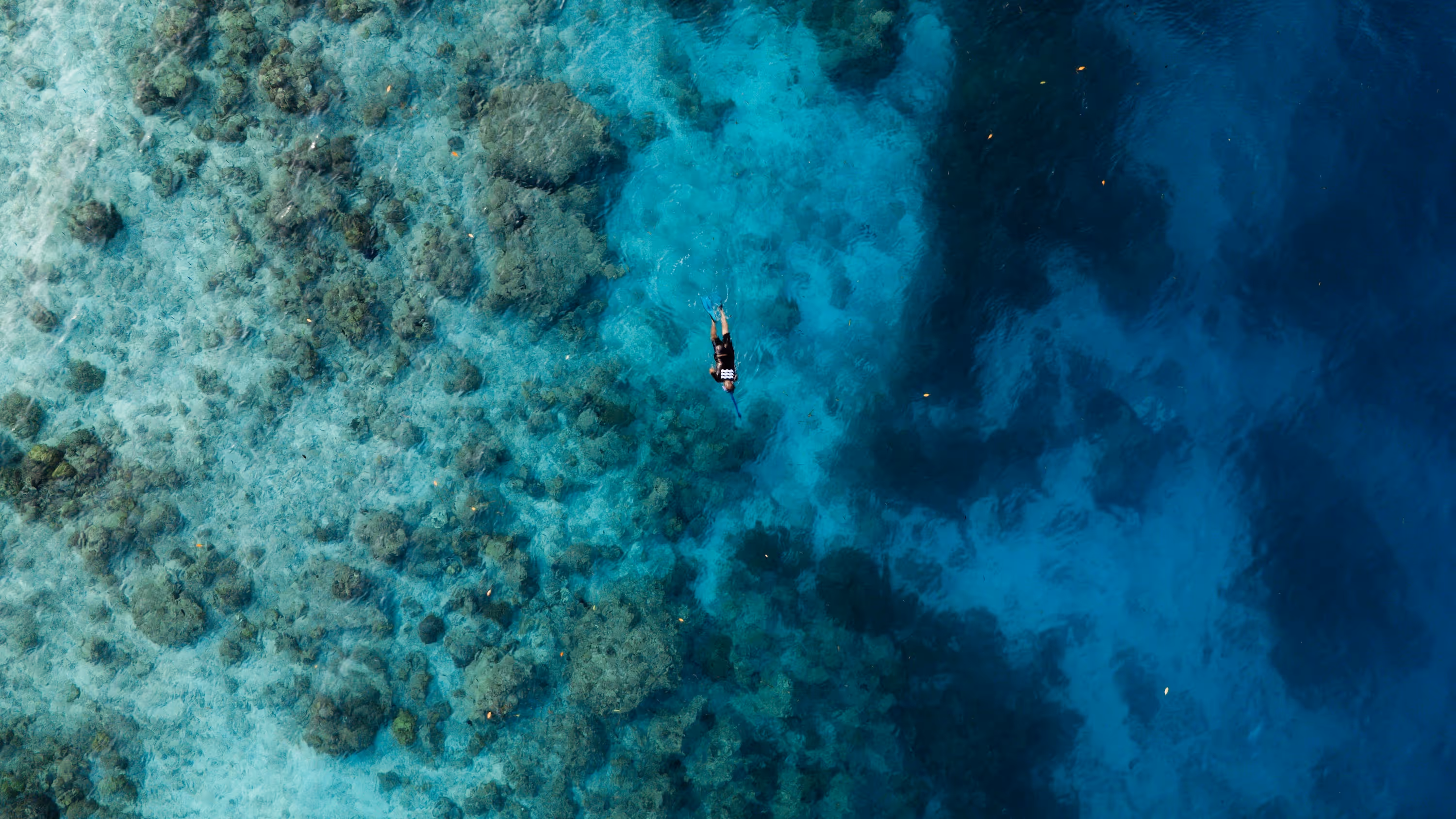 Spear fishing mentawai