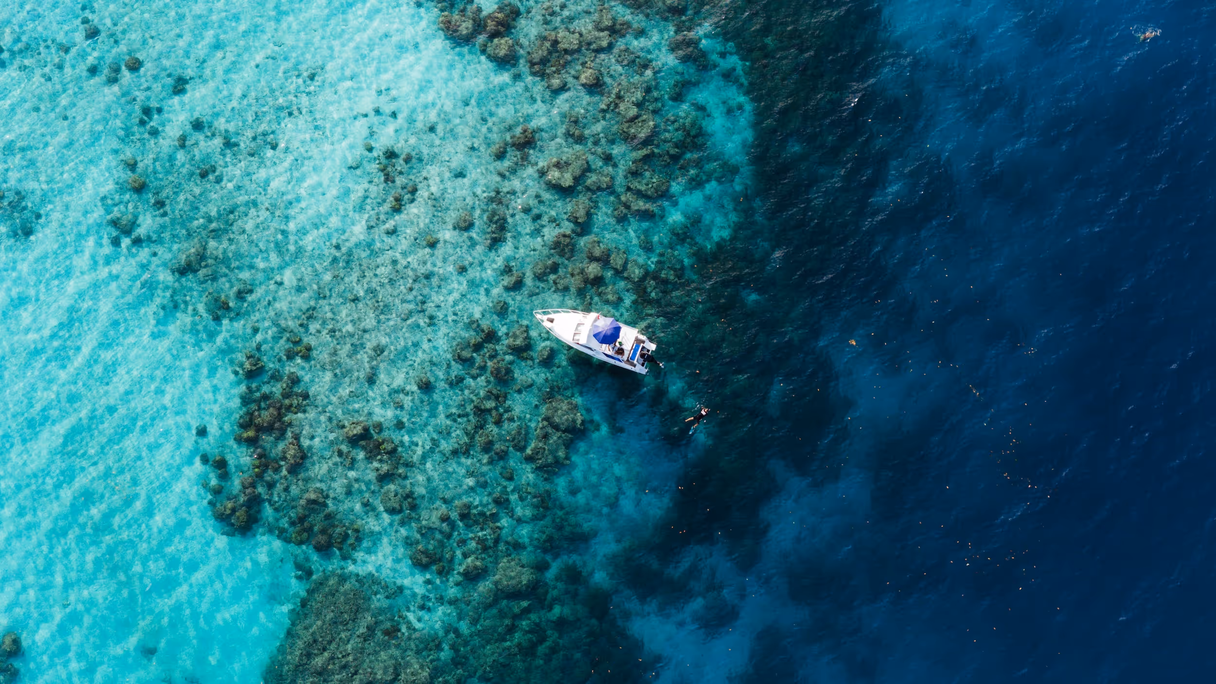 Snorkelling