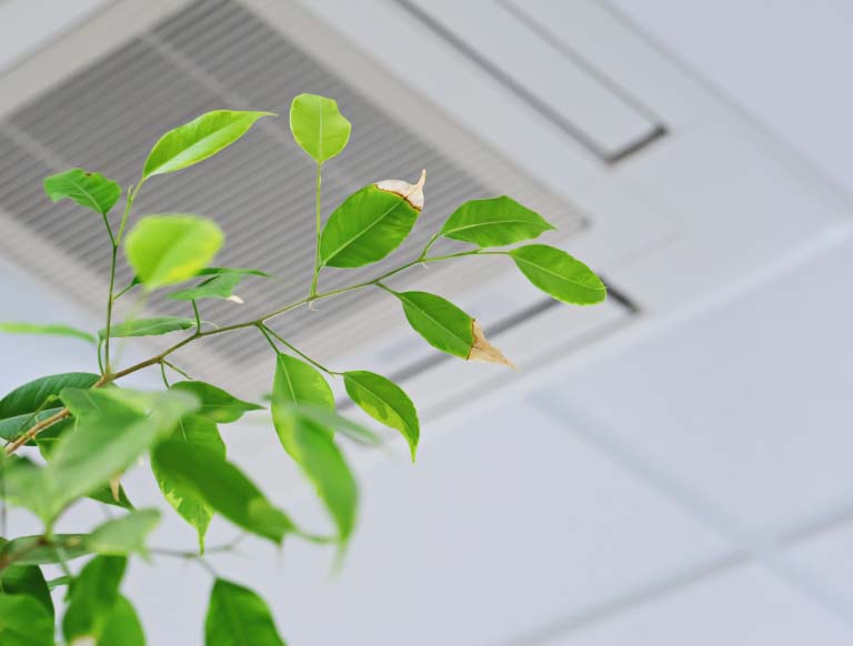 ceiling ventilation system in an office environment