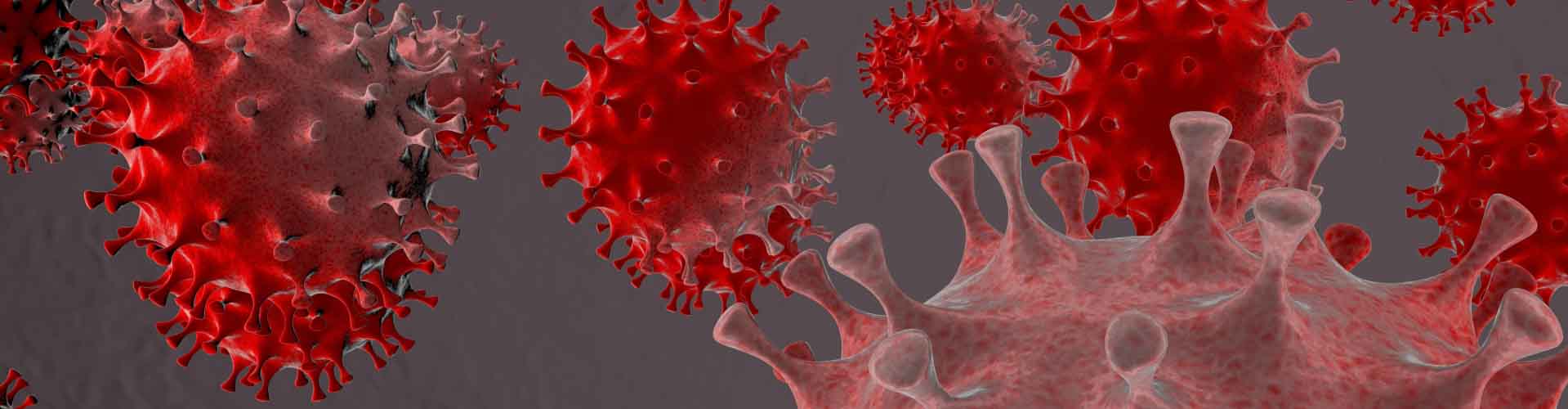 Close up of red virus particles