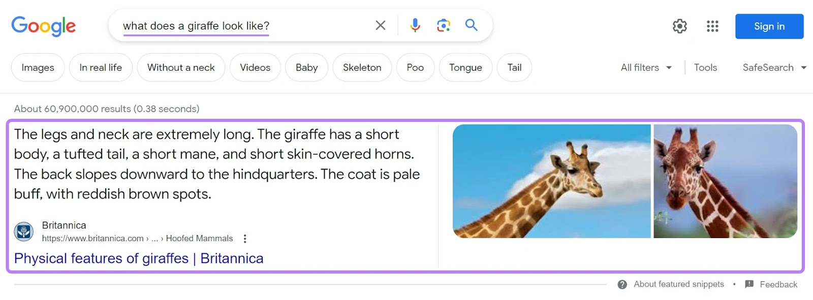 what does a giraffe look like google search screen