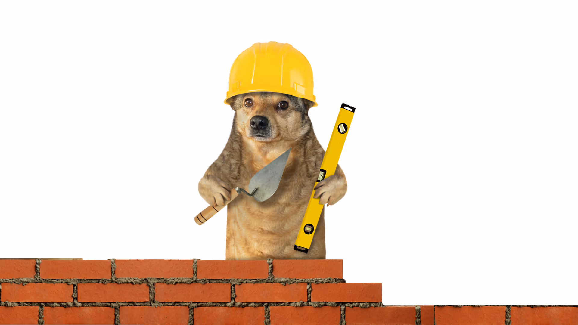 Take control of your project right from the start. Sign Up to Snaptrude today, for free.