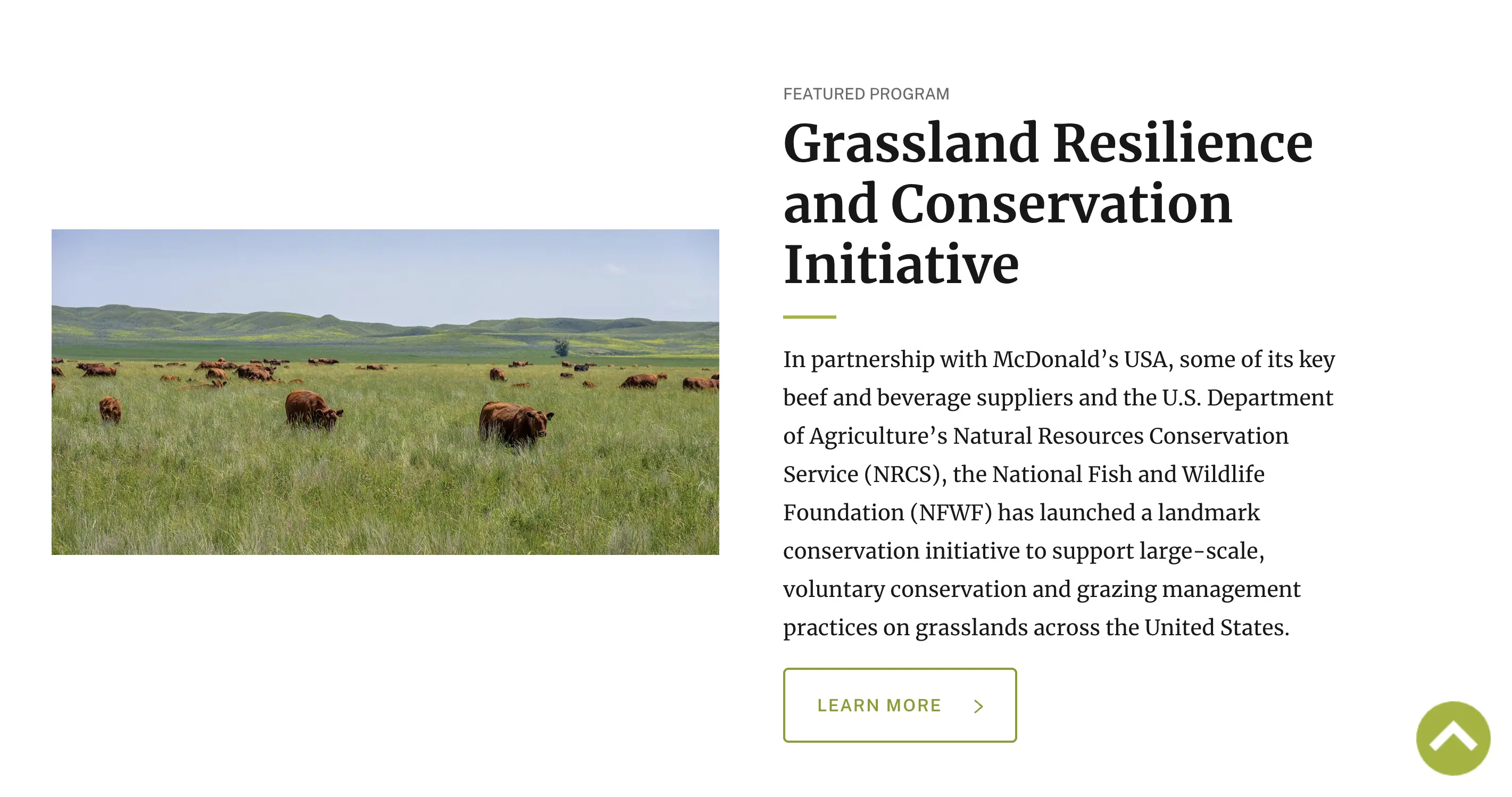 麦当劳在公司官网发布头条，公开宣布将与美国国家鱼类与野生动物基金会（National Fish and Wildlife Foundation）合作，投入总额2亿美元、为期七年的“草原韧性与保护计划”（Grassland Resilience and Conservation Initiative）