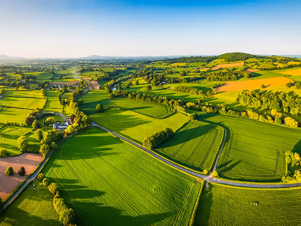 Source off market opportunities at scale