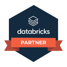 Databricks partner