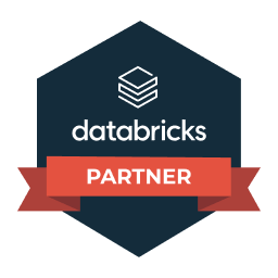 Databricks partner