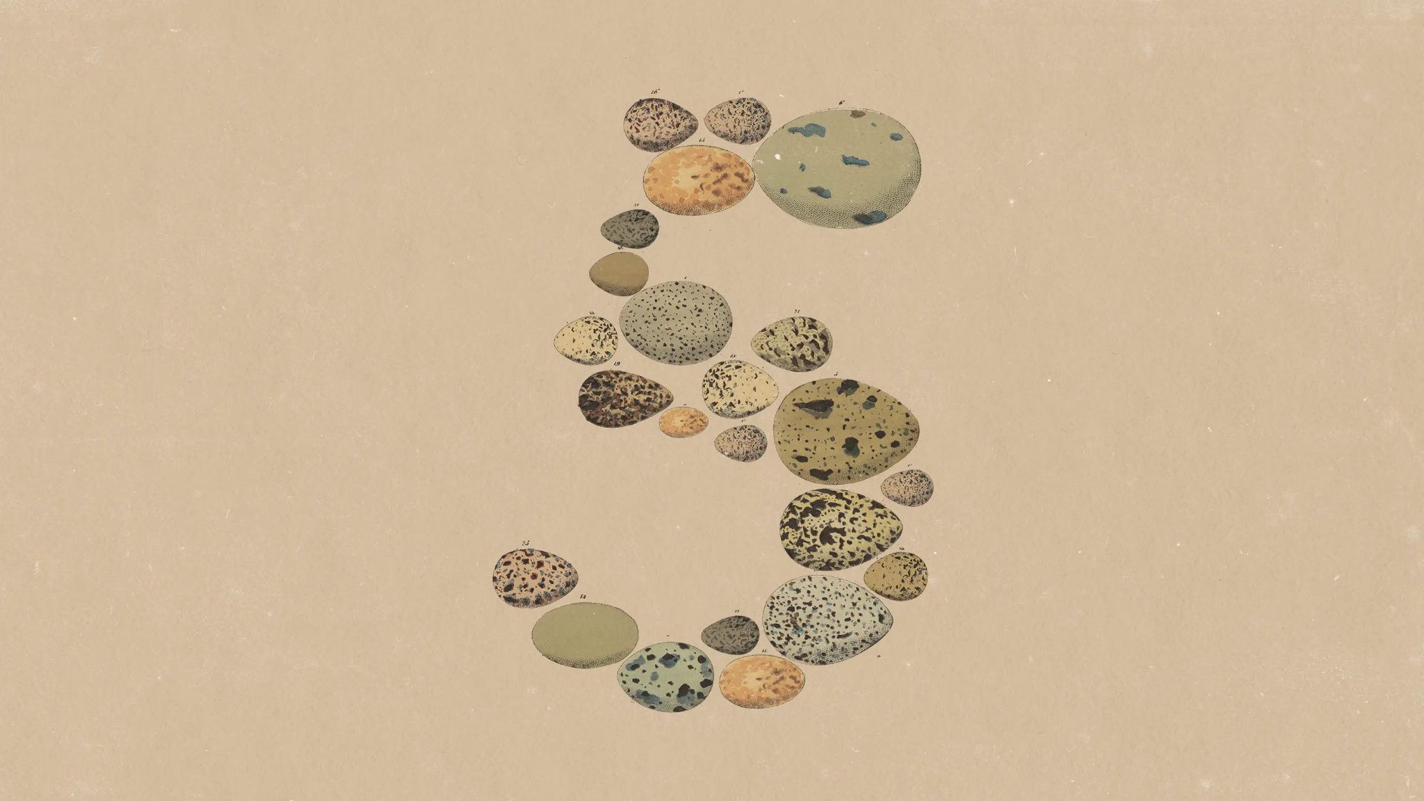 Abstract illustration for Anthropic’s Claude Opus 5 announcement, with speckled pebble-like forms arranged in a vertical cluster on a warm beige background.
