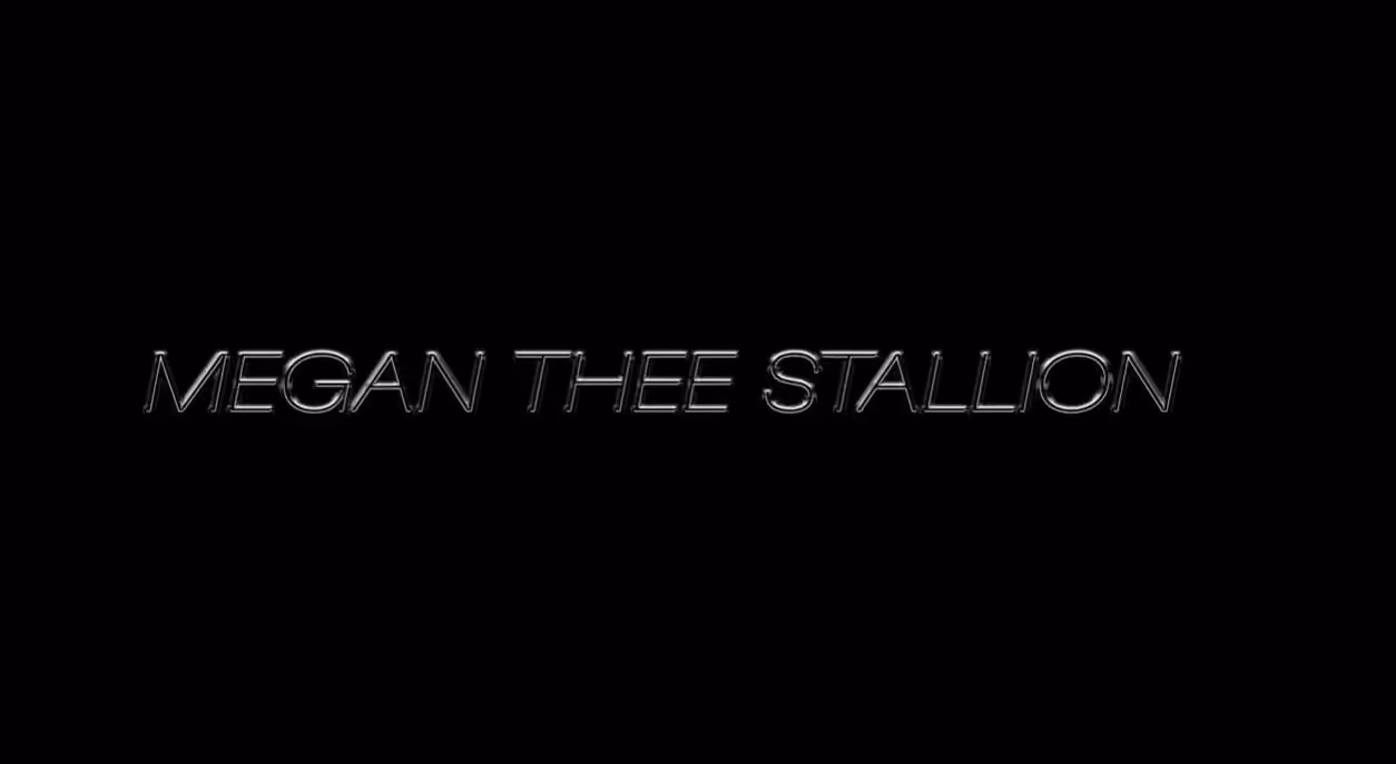 Megan Thee Stallion / Plan B