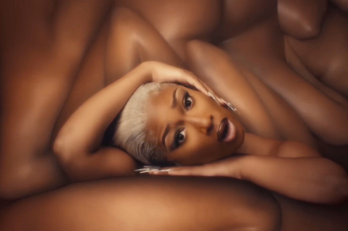 Megan Thee Stallion / HISS