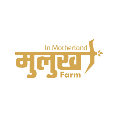 Mother dairy