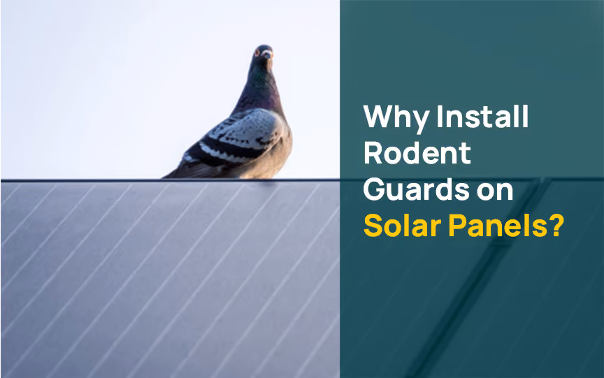 Rodent Guard