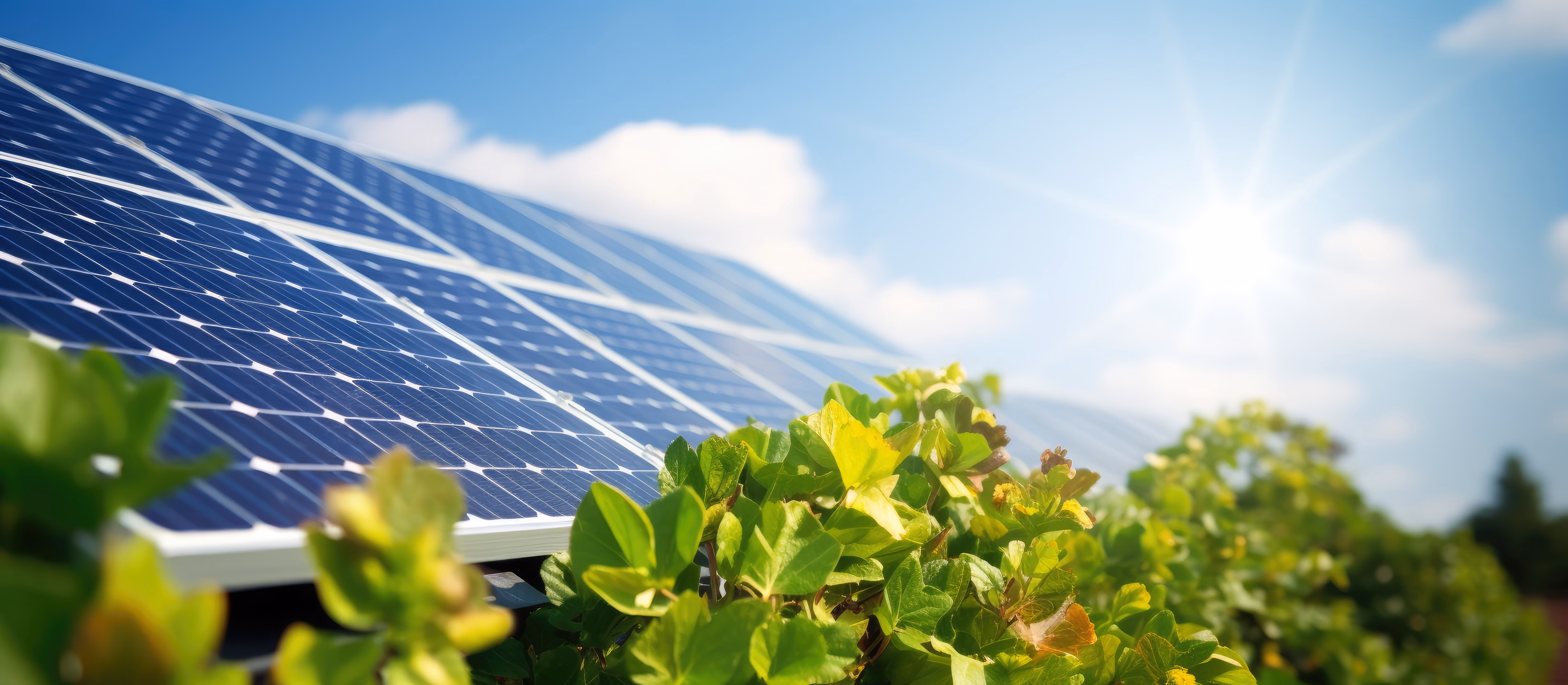 Environmental Benefits of Solar Energy