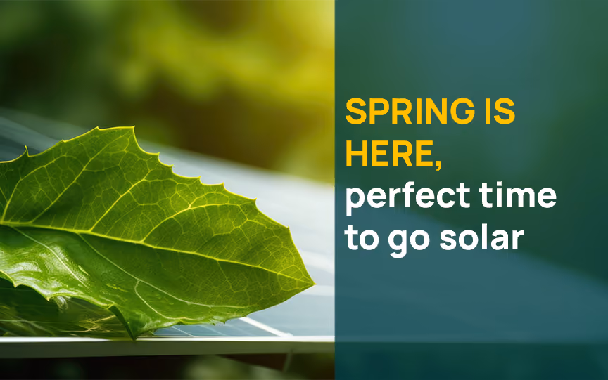 Best Time to Install Solar Panels
