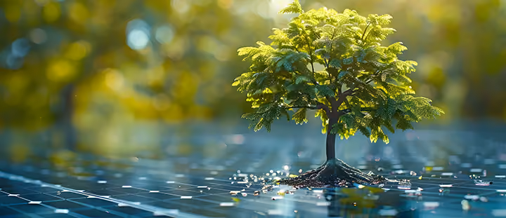 What Earth Day Reminds Us About Renewable Energy