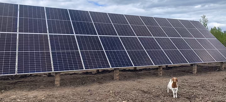Farming Smarter with Solar Power: How BC Farmers Are Reaping the Benefits of the Sun