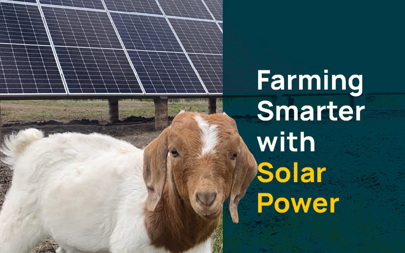 Farming Smarter with Solar Power: How BC Farmers Are Reaping the Benefits of the Sun