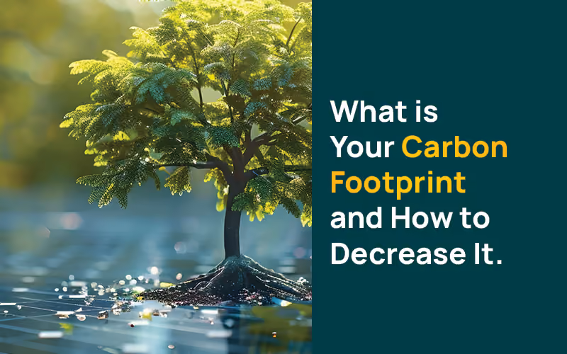 What Is Your Carbon Footprint and How to Reduce It