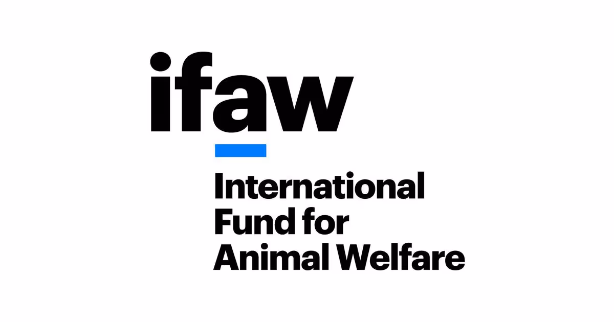 IFAW event - haca.studio