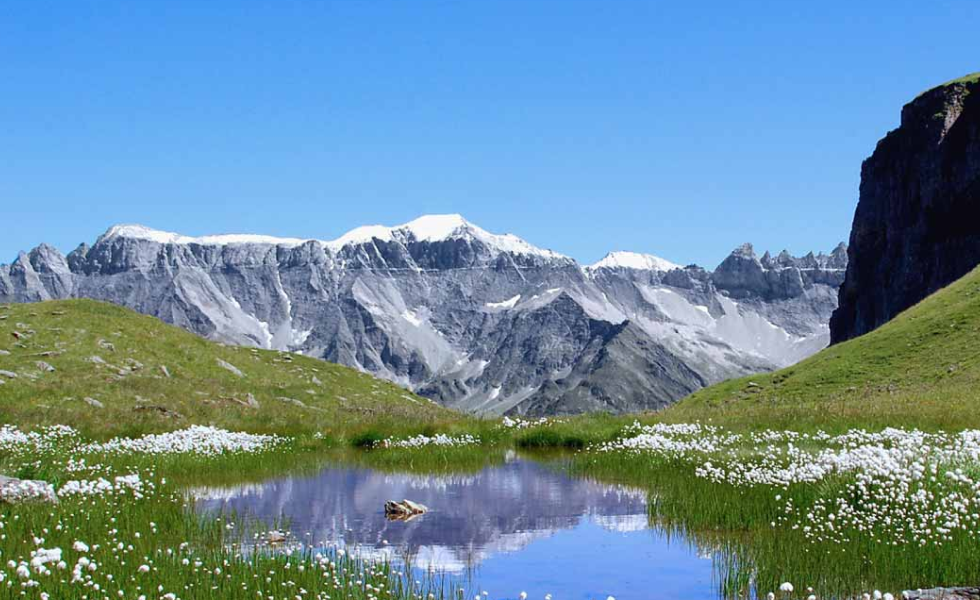 Switzerland