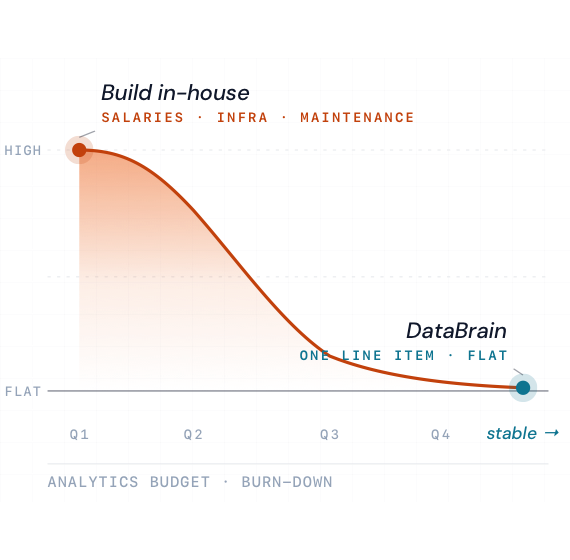 Founder & CEO — stop burning runway on analytics
