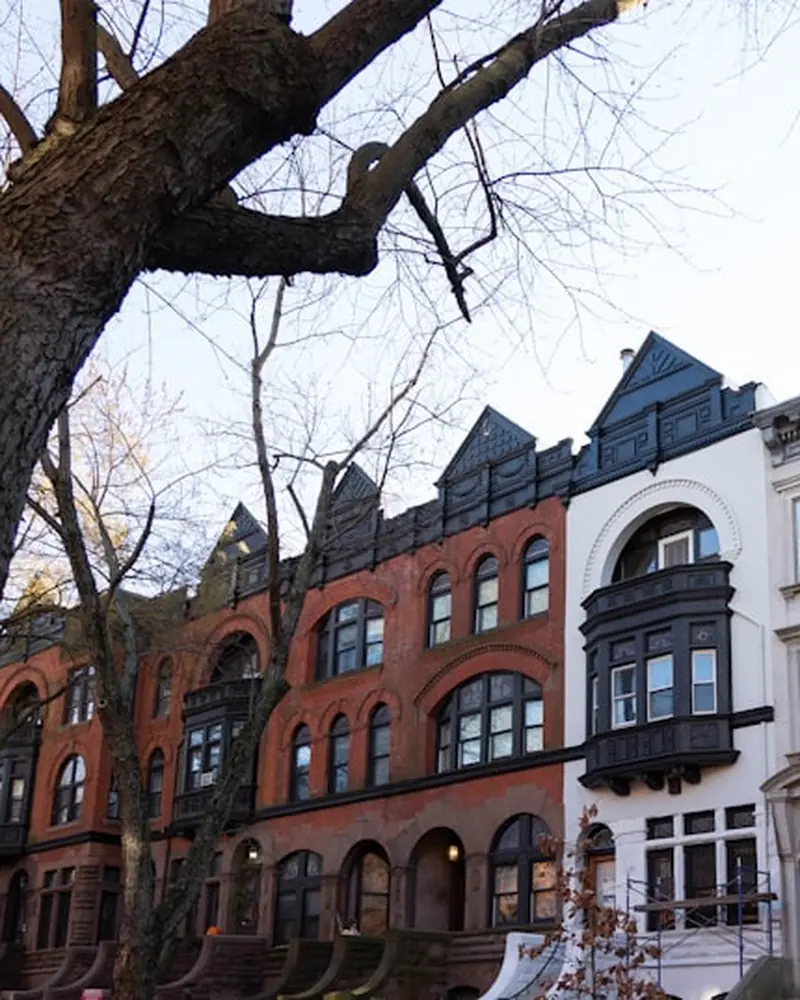 Brooklyn neighborhood