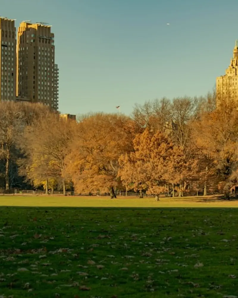 Manhattan neighborhood