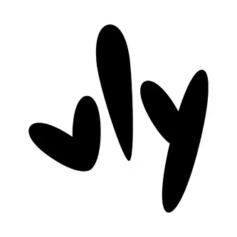 Vly