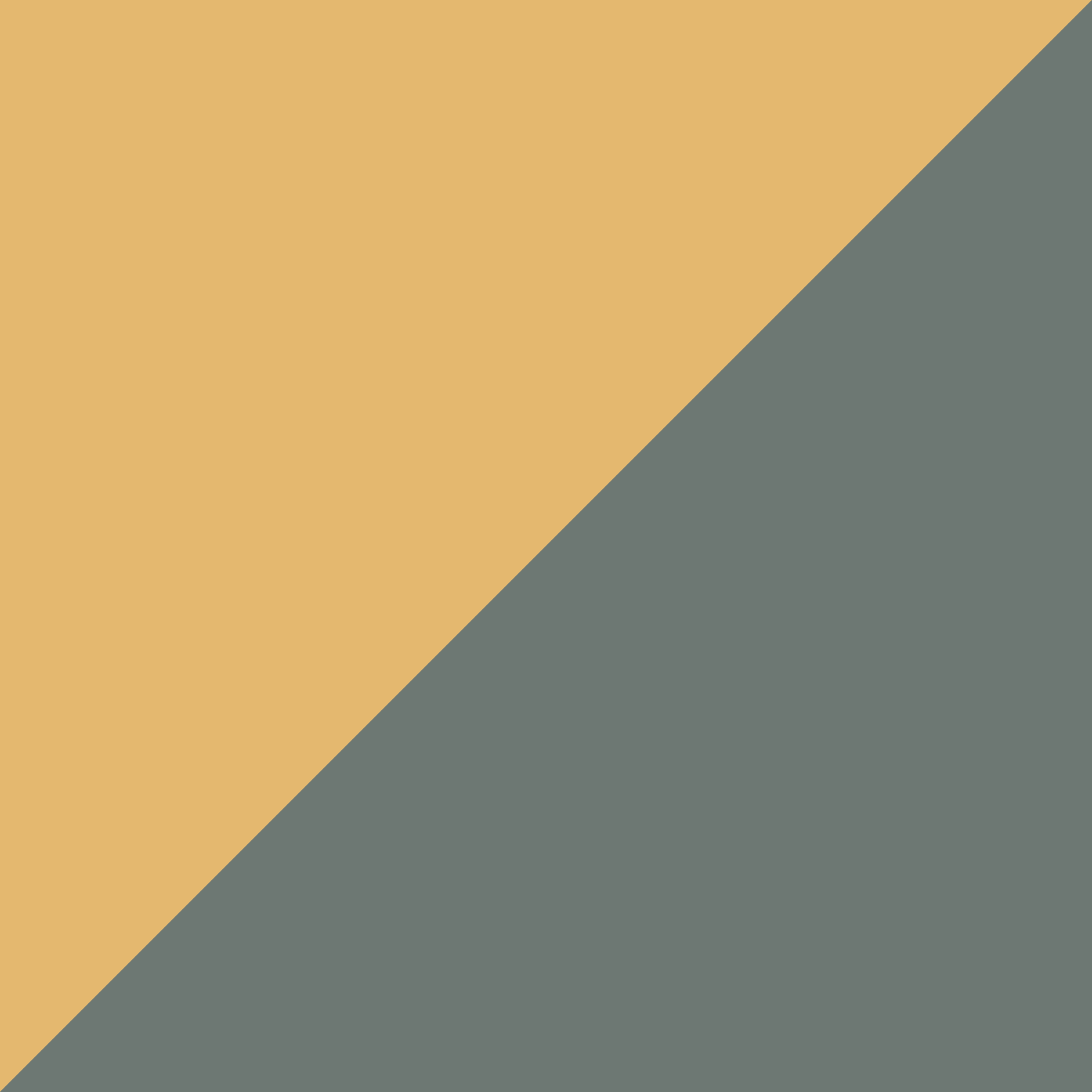 GEO DIAGONAL 0307