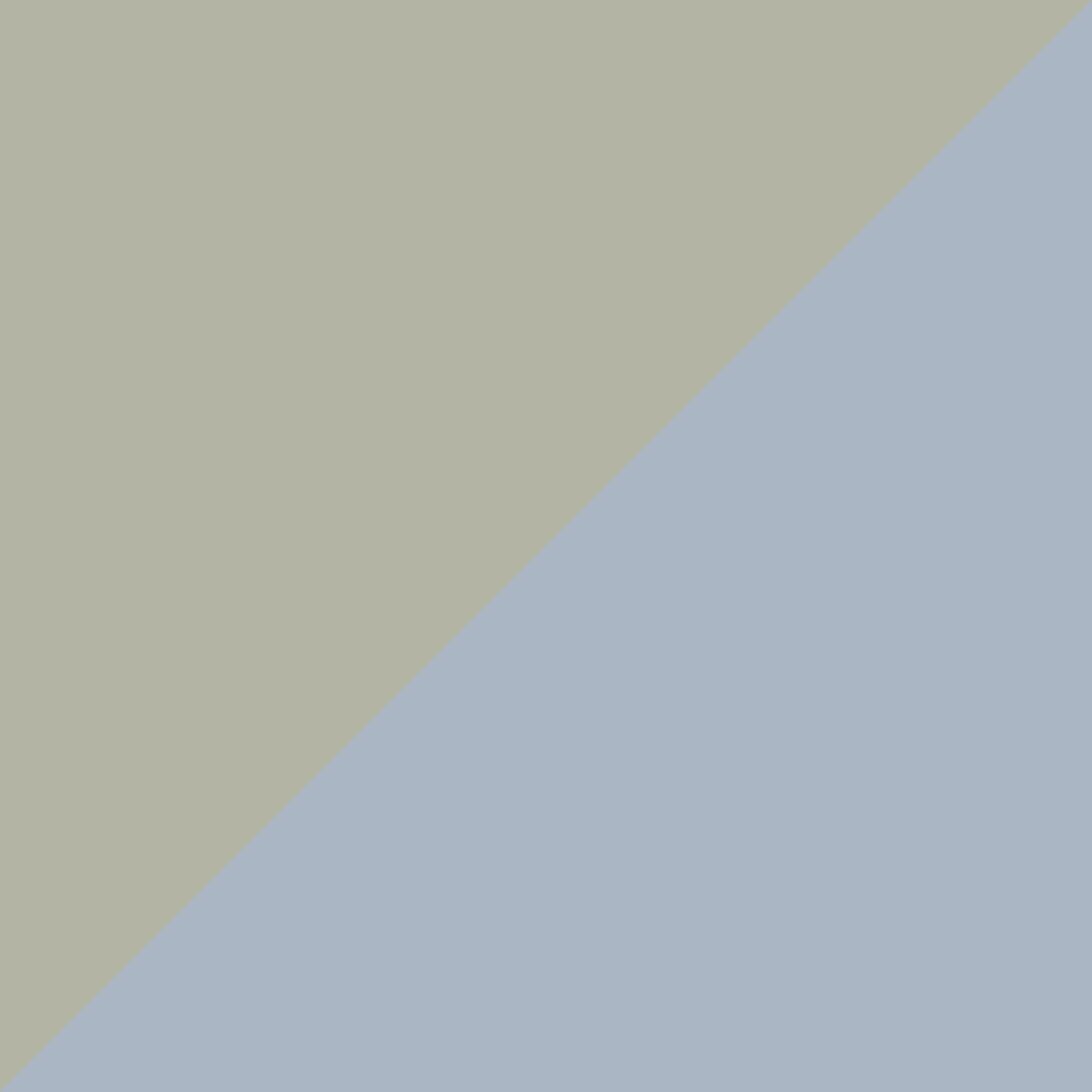 GEO DIAGONAL 1819
