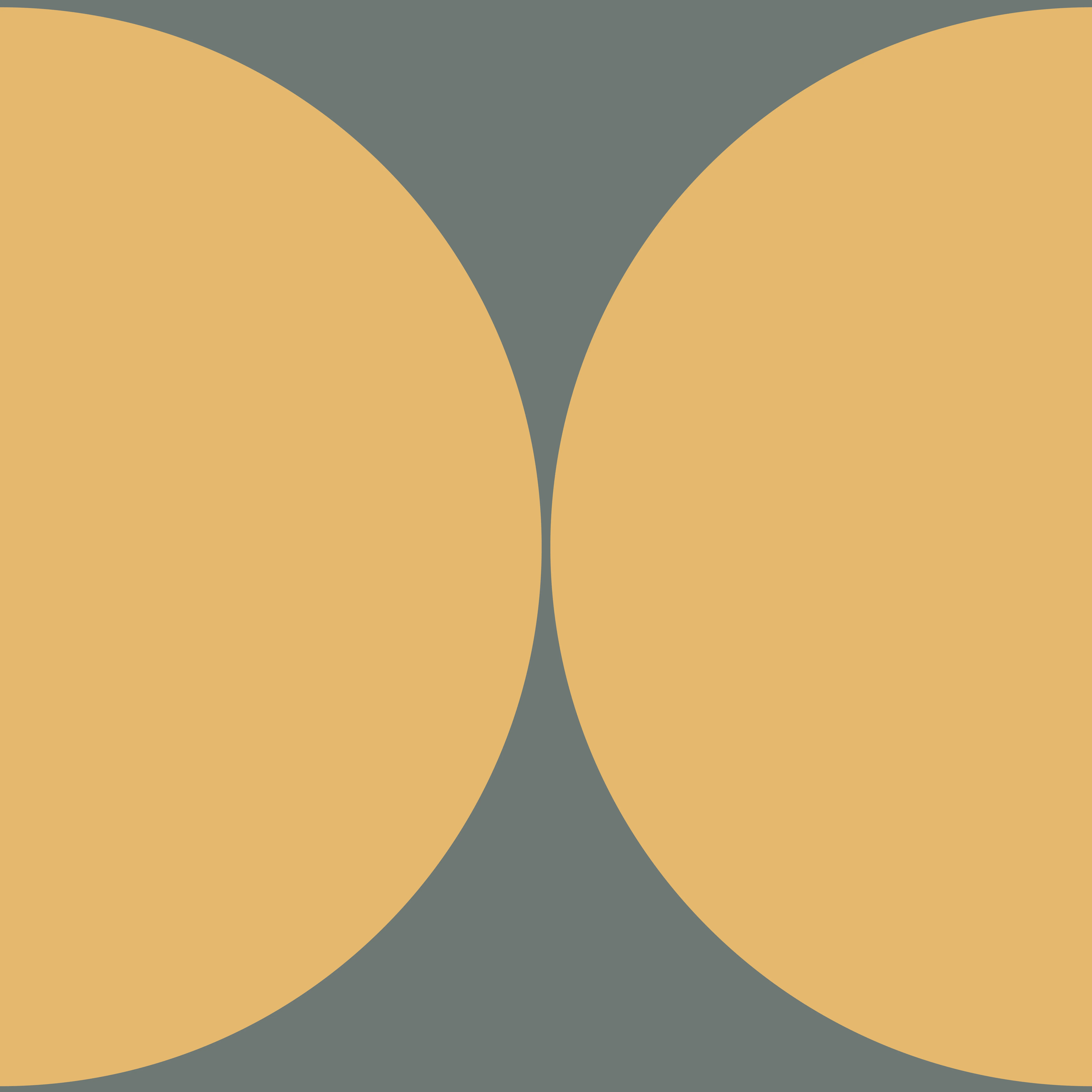 GEO DOPPELKREIS 0703