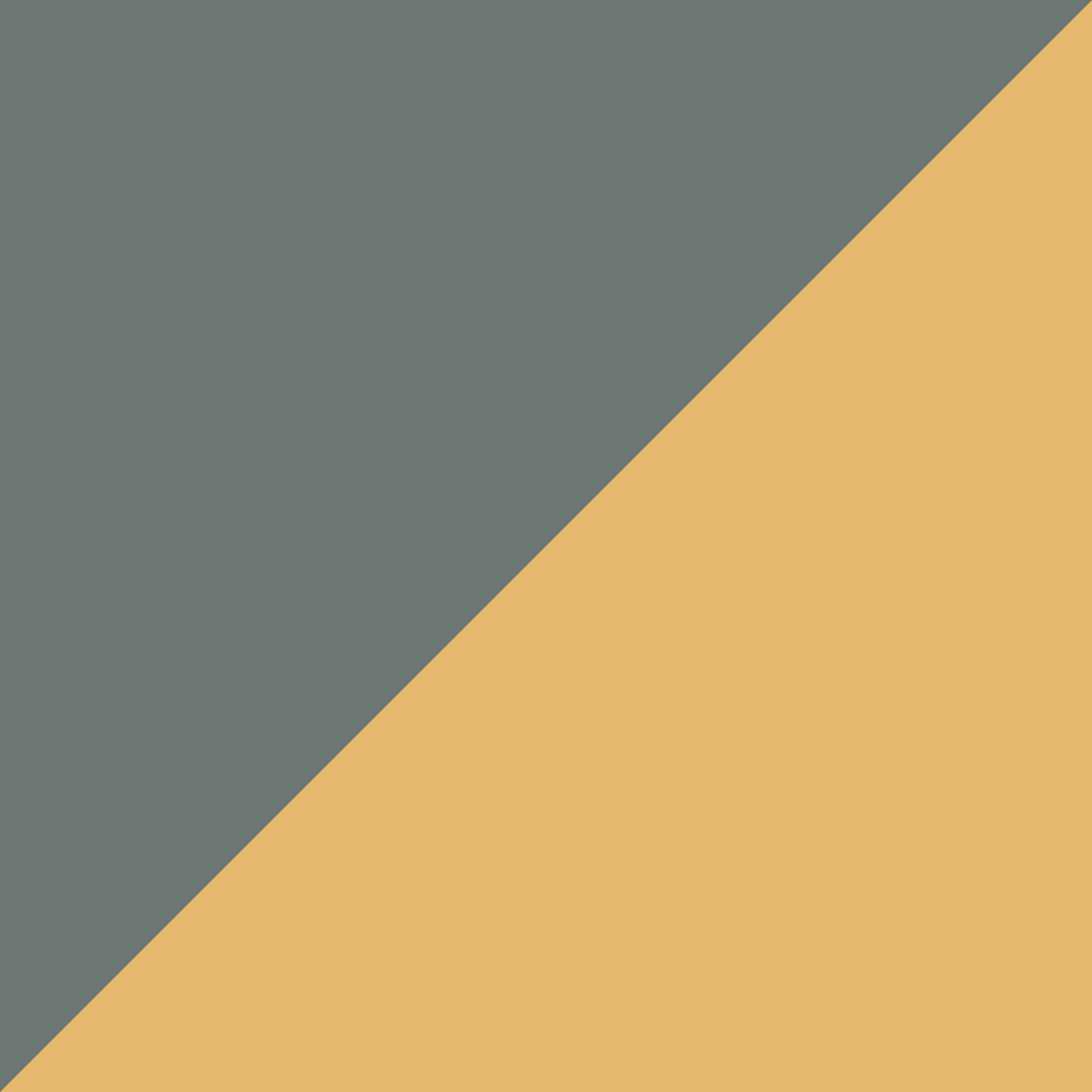 GEO DIAGONAL 0703