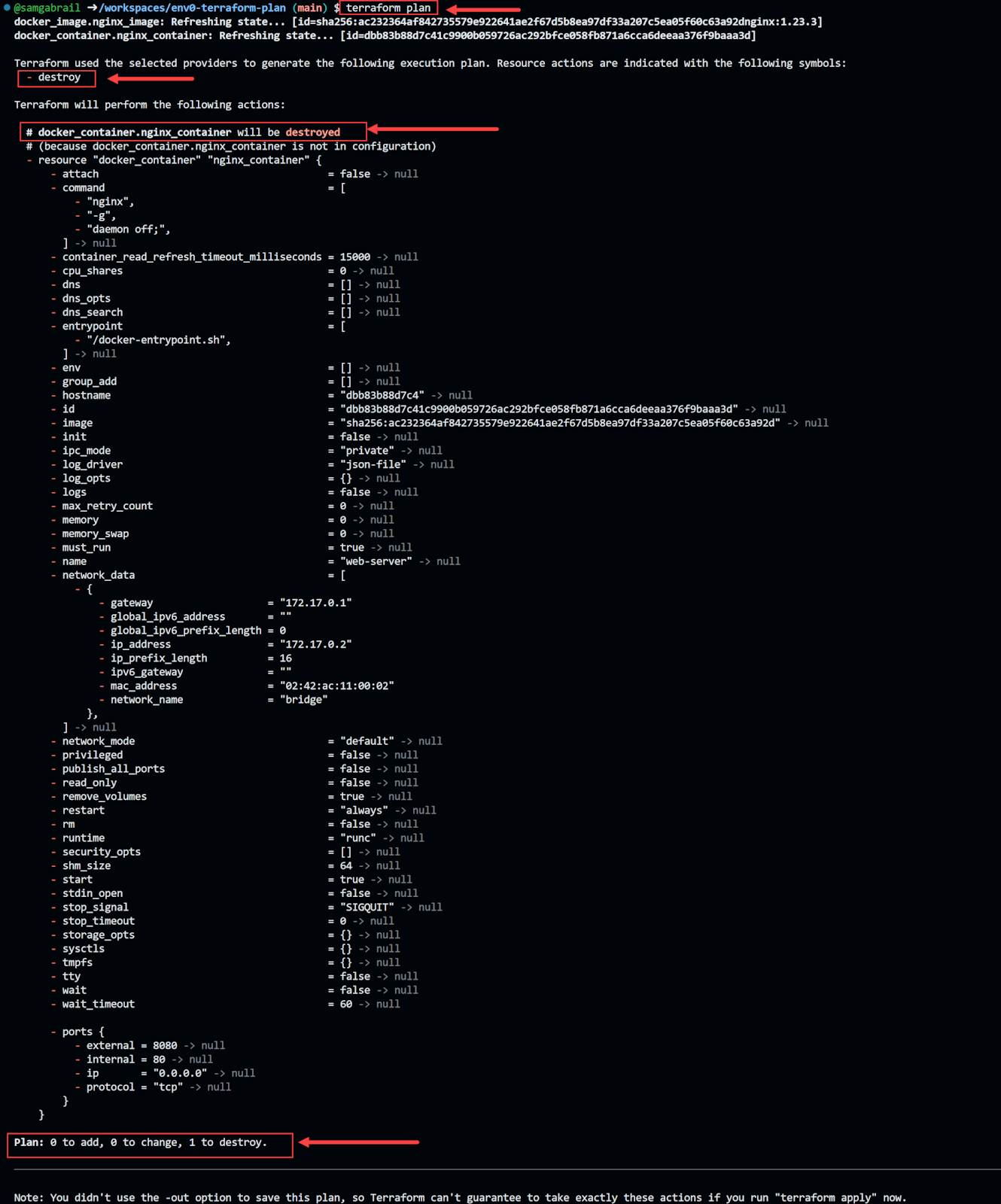 destroy the container plan output