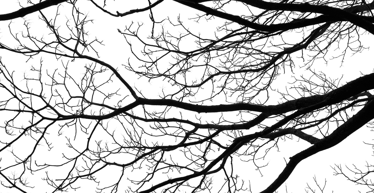From “Feature branches” to “Feature environments” with Terraform