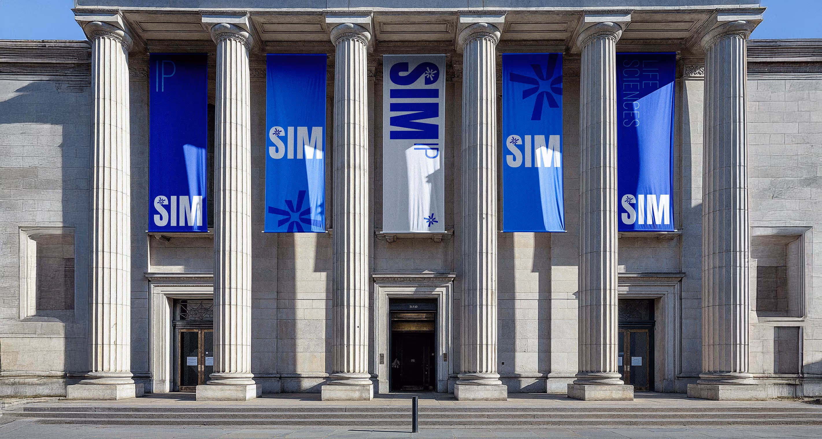 SIM IP BAnner flags.