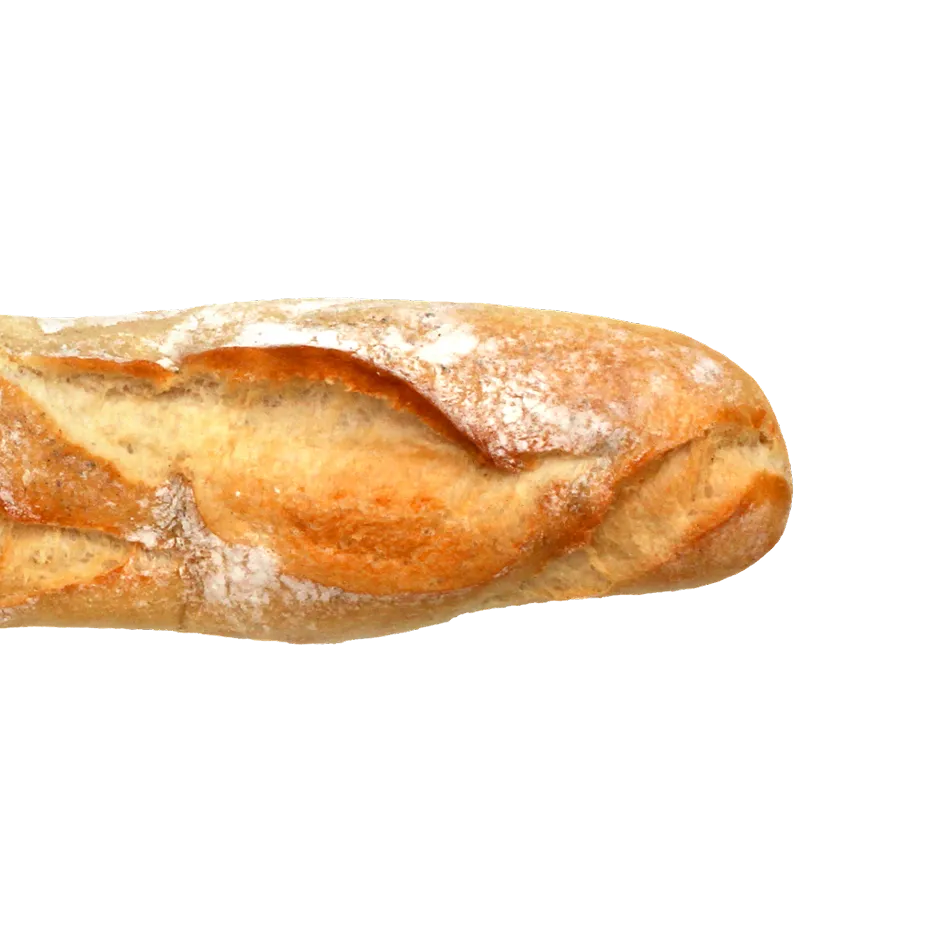 3D model of a baguette
