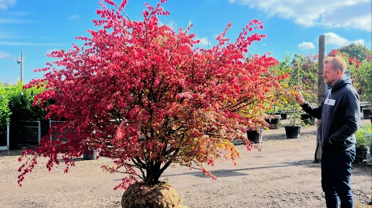 Looking back to move ahead: Autumn/Winter Tagging with Creepers Nursery