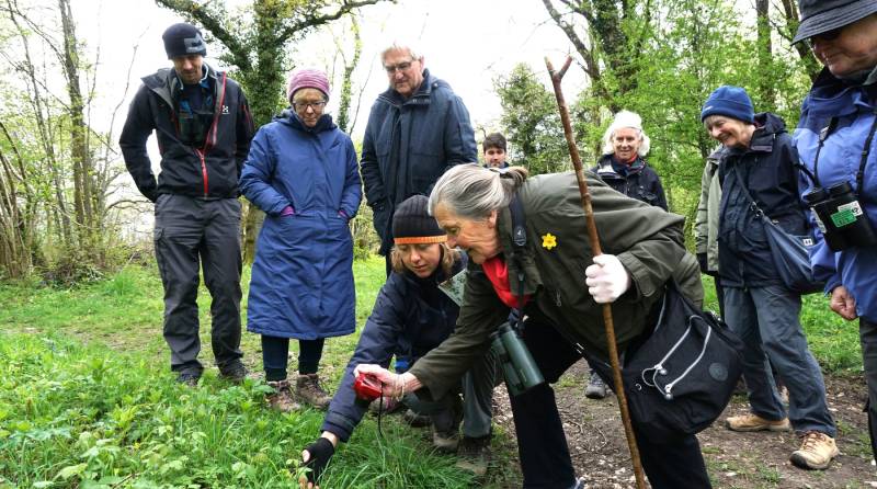 Big Garden Birdwatch: A Celebration of Nature in Your Backyard