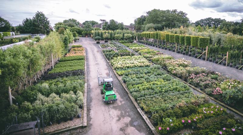 Creepers Nursery Achieves Plant Healthy Accreditation, Championing Biosecurity and Responsible Growing