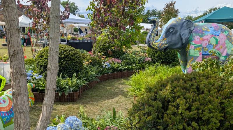 Creepers Nursery at the Royal Windsor Flower Show: Celebrating Craft, Community, and a Royal Visit