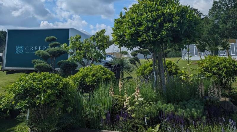 Creepers Nursery blossoms at the Royal Windsor Flower Show