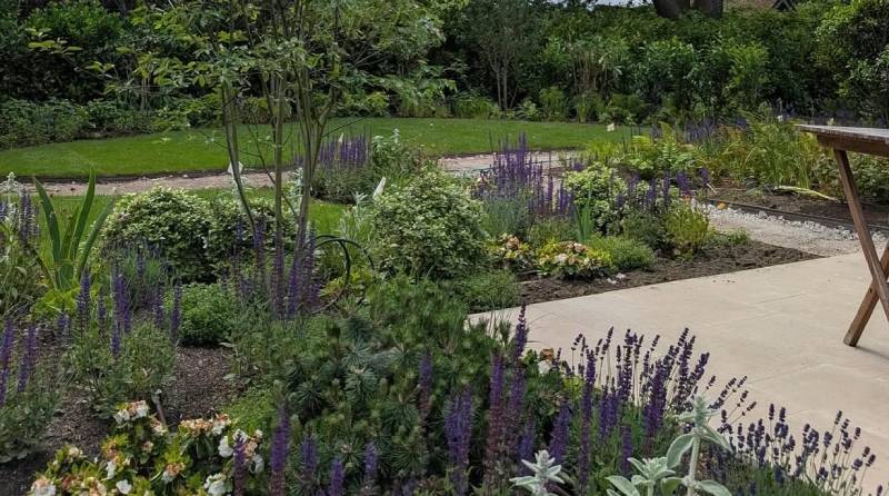 Creepers Nursery Recommends: Top Picks for Summer Installation - Low Maintenance, High Impact Planting