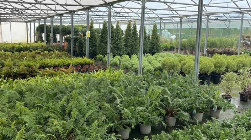 Discover the Convenience of the Cash and Carry Service at Creepers - New Forest