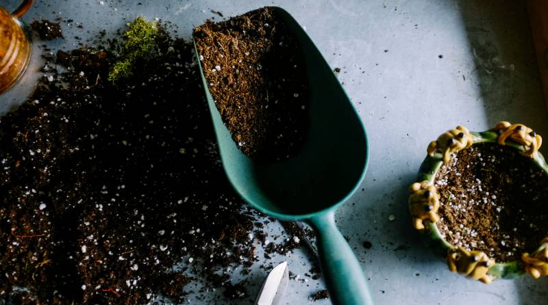 March Garden Jobs: Essential Tasks for a Thriving Garden