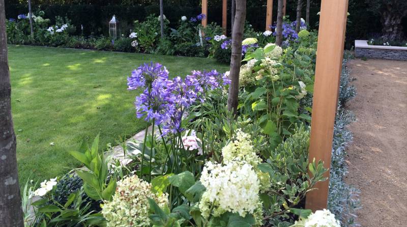 Pruning Spring-Flowering Shrubs: A Guide