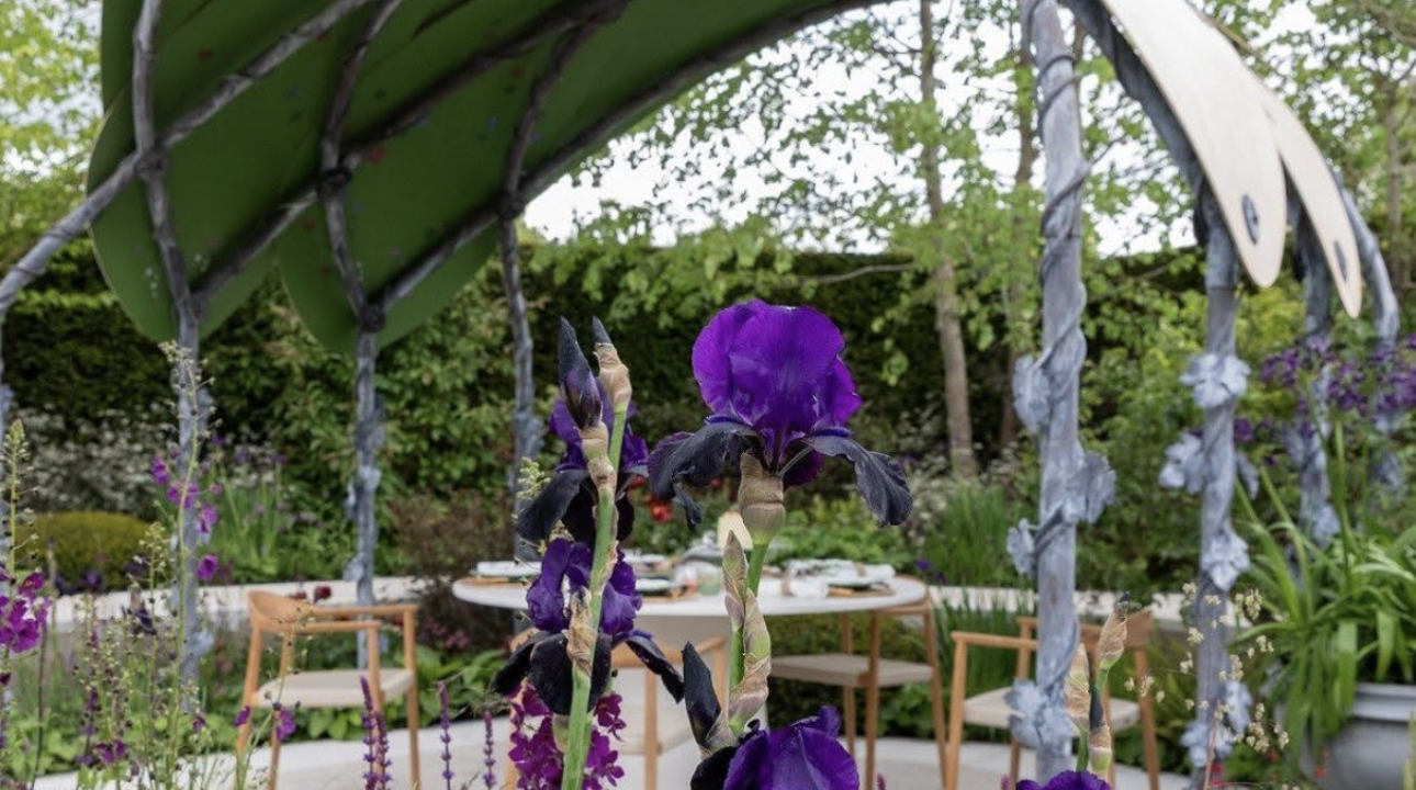 Precision growing: How Creepers Nursery supports designers under show level pressure