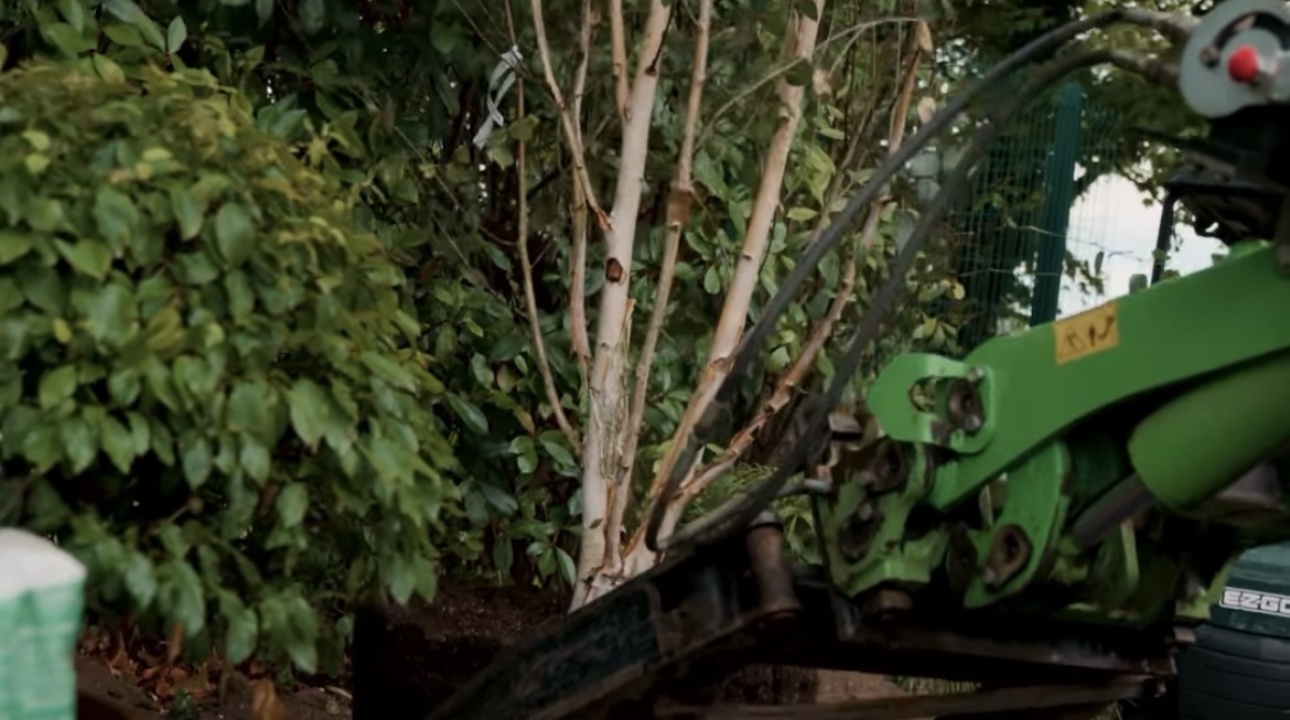From order to installation: How we work with landscapers to get plants onto site
