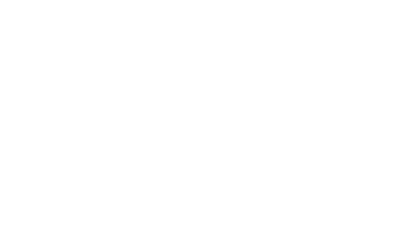 Next Play logo