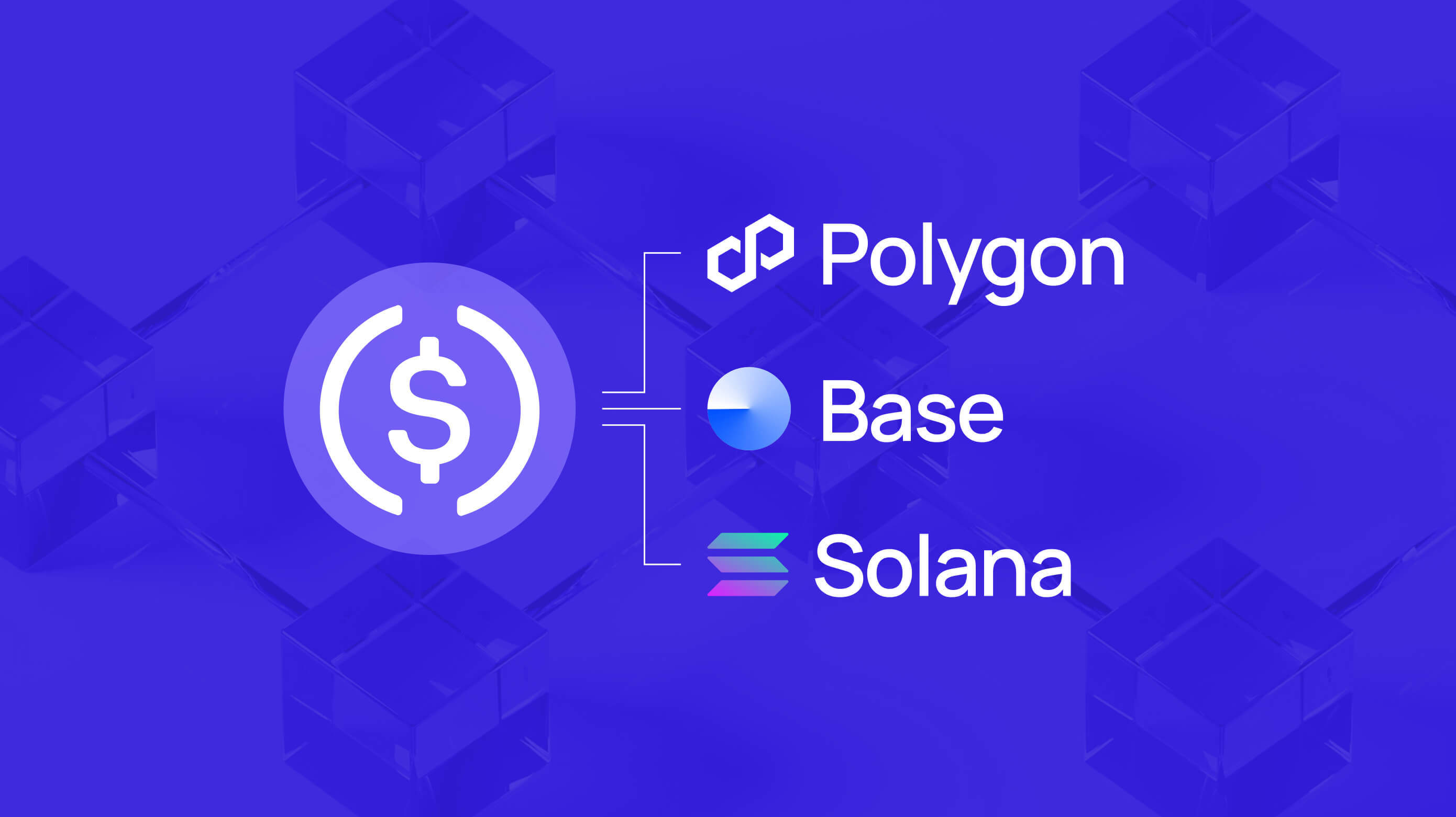 We’ve expanded our USDC coverage to include three additional blockchain networks – Polygon, Base, and Solana.