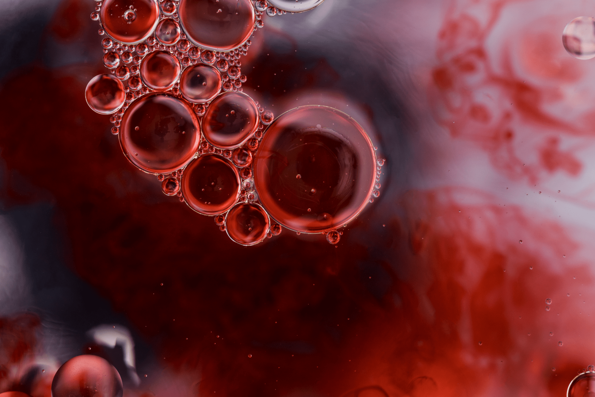 Macro close-up of red bubbles suspended in liquid, resembling blood cells or droplets